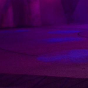 Meet your Posher, Sonny